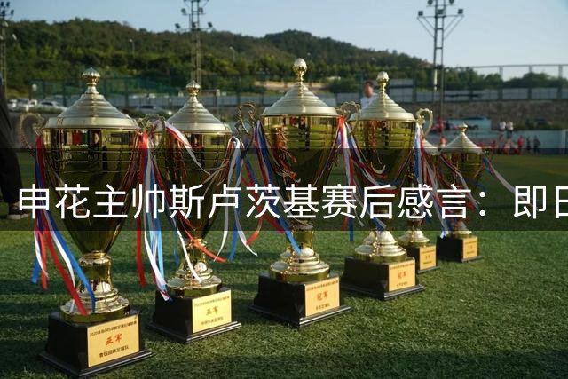 申花主帅斯卢茨基赛后感言：即日起卸任主教练职务